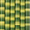 Picture of BAMBOO PRINT JUMBO PAPER STRAWS 2500