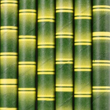 Picture of BAMBOO PRINT JUMBO PAPER STRAWS 2500