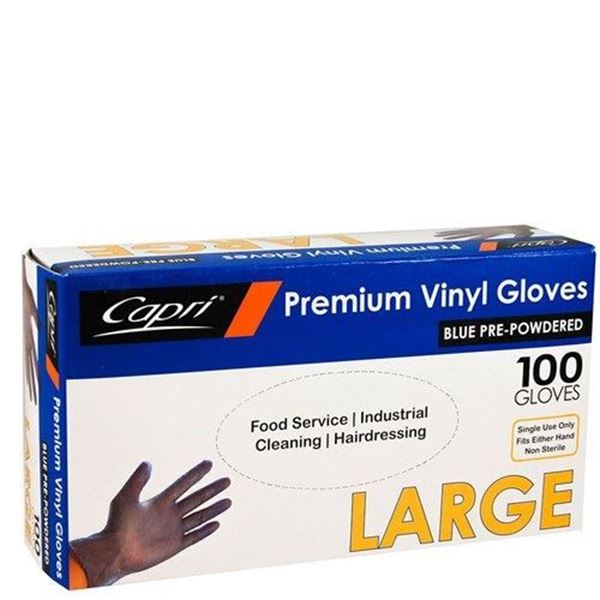 Picture of GLOVES LARGE  DISPOSA BLUE        10x100