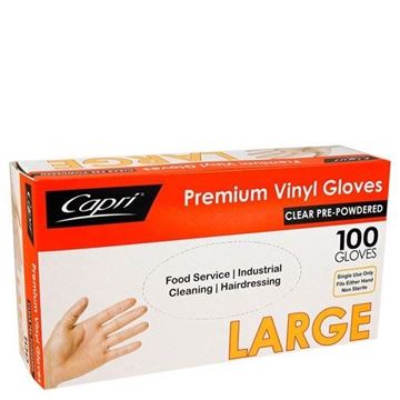 Picture of GLOVES LARGE  DISPOSA CLEAR       10x100