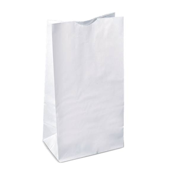 Picture of BAG PAPER WHITE # 4  SATCHEL       1x500