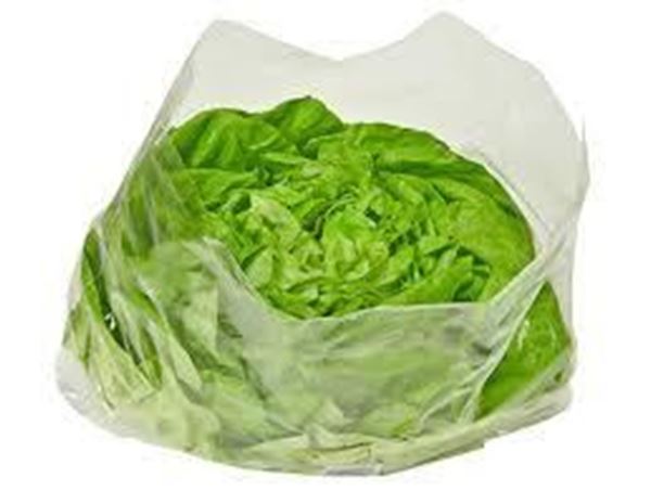 Picture of BAG LETTUCE  15x12' PUNCHED LARGE 10x100